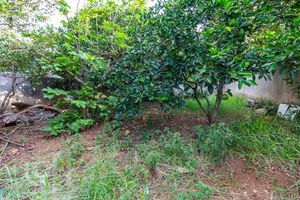 Image 42 - 284840