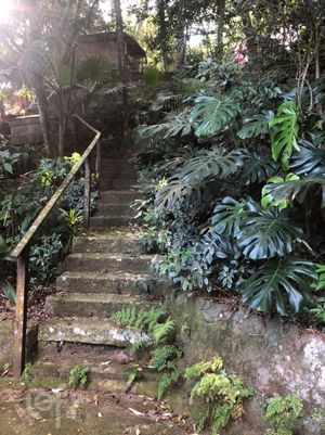 Image 60 - 284883