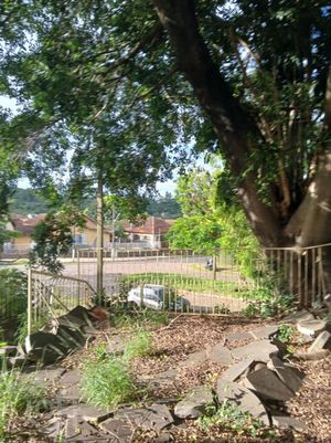 Image 25 - 285221