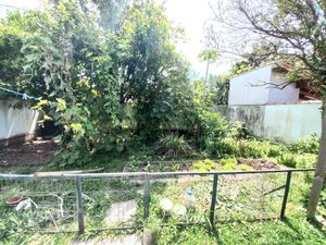 Image 35 - 285231