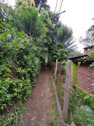 Image 11 - 285268