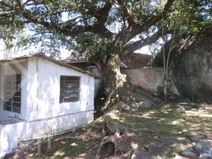 Image 8 - 285487