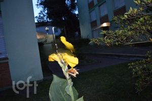 Image 19 - 285555