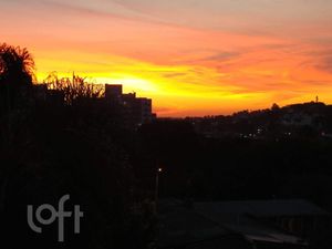 Image 13 - 285647