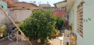 Image 31 - 285649