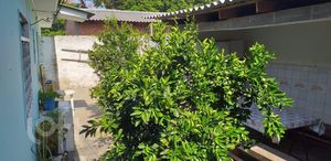 Image 18 - 285649