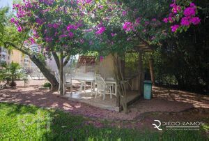 Image 33 - 285882