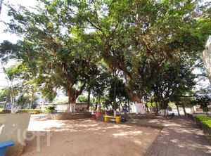 Image 20 - 286467