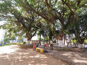 Image 19 - 286467