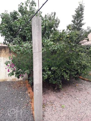 Image 7 - 286539