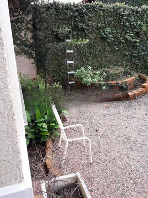 Image 3 - 286539