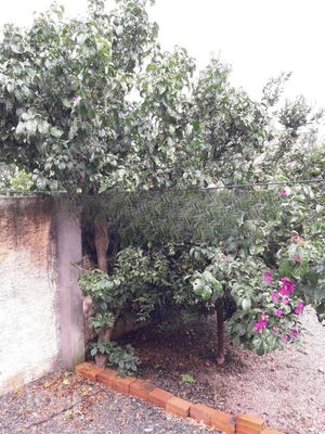 Image 5 - 286539