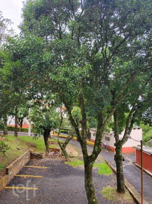 Image 15 - 286602