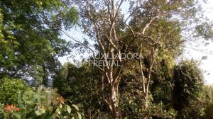 Image 25 - 286635
