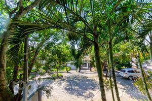 Image 31 - 286649
