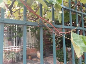 Image 11 - 286785