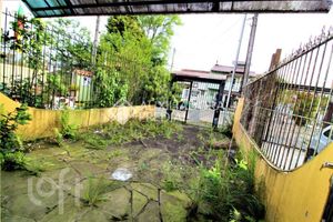 Image 11 - 286911