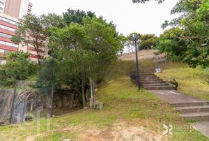 Image 24 - 287000