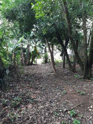 Image 20 - 287244