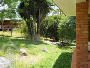 Image 21 - 287262