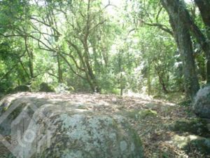 Image 15 - 287262