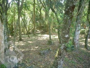 Image 17 - 287262
