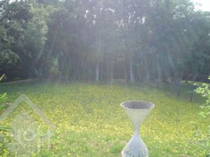 Image 12 - 287262