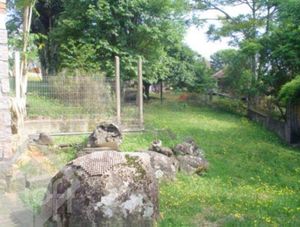 Image 13 - 287262