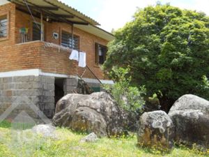 Image 5 - 287262