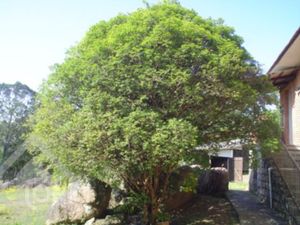 Image 19 - 287262