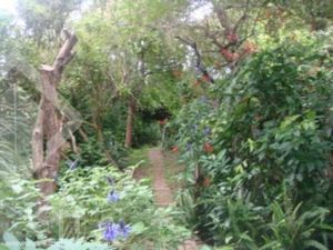 Image 3 - 287428