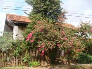 Image 13 - 287428