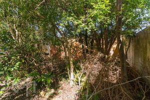 Image 66 - 288140