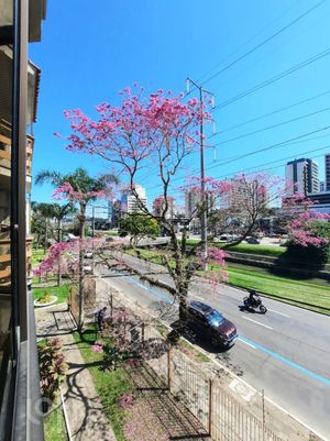 Image 6 - 288305