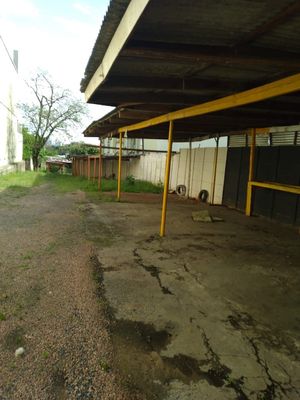 Image 7 - 288339