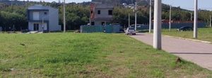 Image 3 - 288377