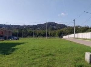 Image 5 - 288377