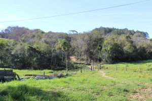 Image 3 - 288749
