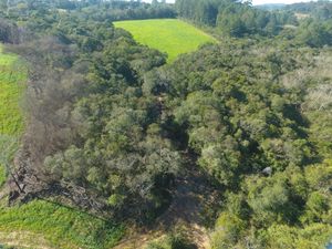 Image 5 - 288749