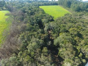Image 4 - 288749