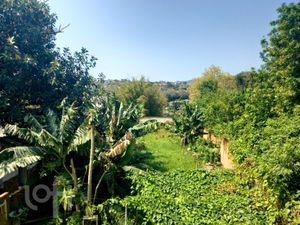Image 31 - 288852
