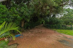 Image 14 - 289011