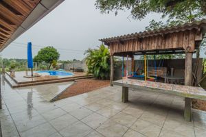 Image 30 - 289011