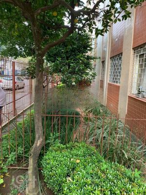 Image 16 - 289067