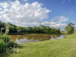 Image 43 - 289155