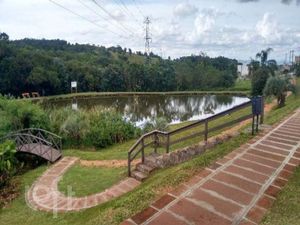 Image 45 - 289155
