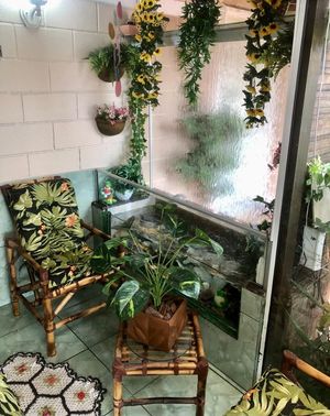 Image 13 - 289262