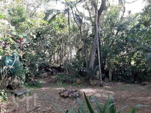 Image 5 - 289473