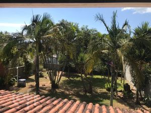 Image 11 - 289687