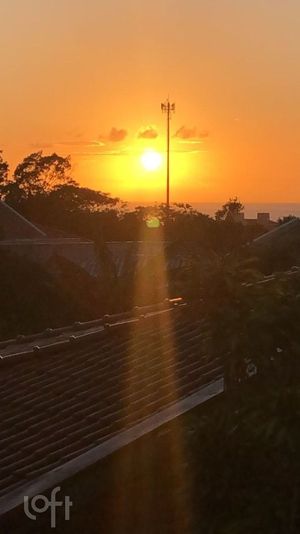 Image 16 - 289687